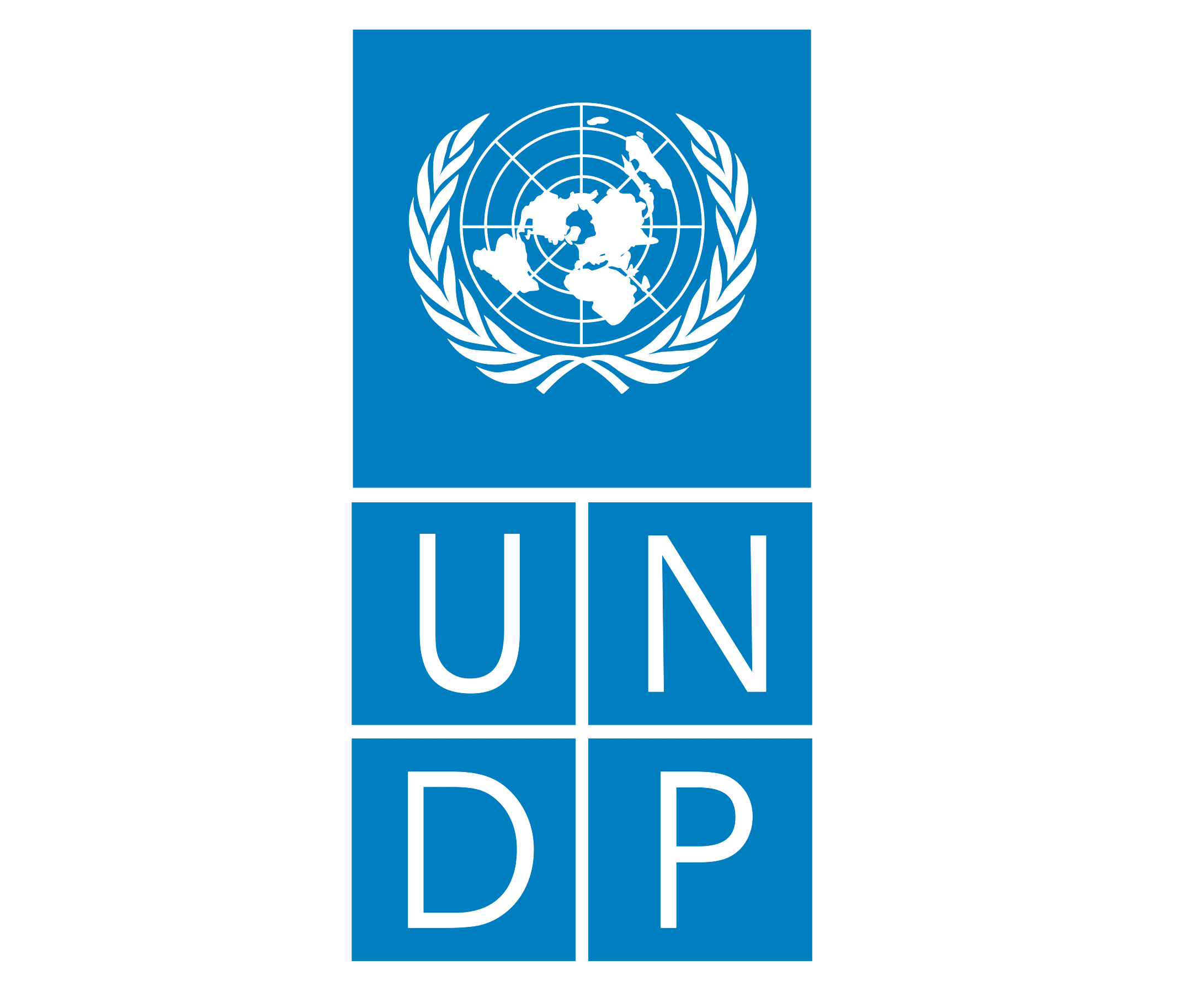 جناح الأمم المتحدة UNDP